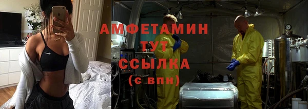 гидра Богданович