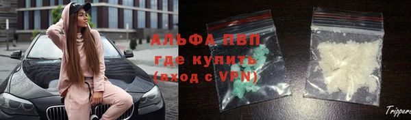 МДПВ Богородск