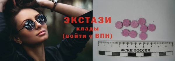 гидра Богданович