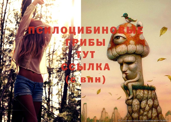 МДПВ Богородск