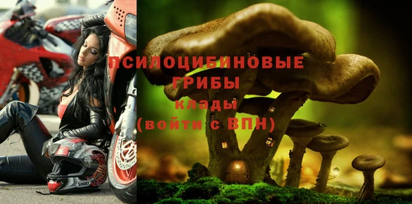 прущая мука Бородино