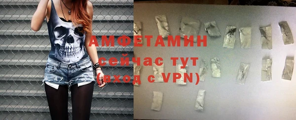 гидра Богданович