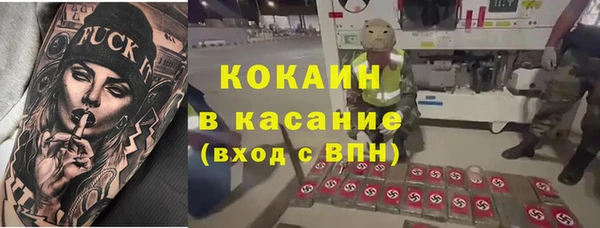 гидра Богданович