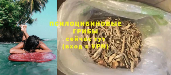 МДПВ Богородск