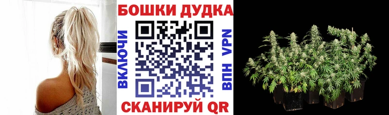 Канабис OG Kush  Можайск 